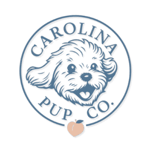 Carolina Pup Co- ethical doodle breeder in South Carolina specializing in hypoallergenic designer puppies