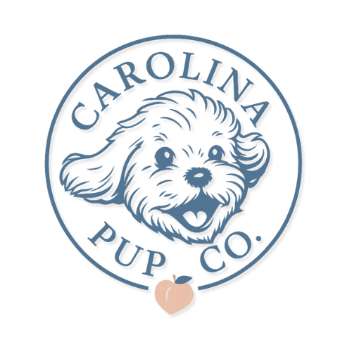 Carolina Pup Co- ethical doodle breeder in South Carolina specializing in hypoallergenic designer puppies